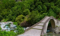 Artvin'in Kaç Tane İlçesi Var?