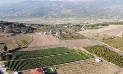 Bilecik'i İlk Kim Fethetmiştir?