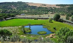 Bingöl'ün En İyi İlçesi Hangisi?