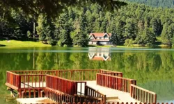 Bolu'nun En İyi İlçesi Hangisi?