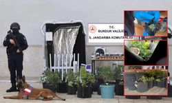 Burdur'da uyuşturucu operasyonu!