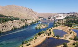 Elazığ'ın Kaç Tane İlçesi Var?