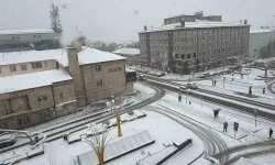 Erzurum'u İlk Kim Fethetmiştir?