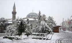 Erzurum'un En İyi İlçesi Hangisi?