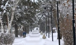 Erzurum'un Simgesi Nedir?