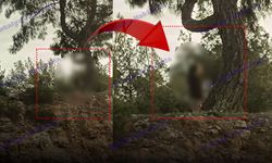 Antalya'da şüpheli olay: Bir kişi ağaçta asılı halde ölü bulundu