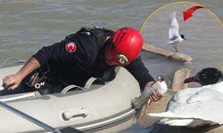 Antalya'da misinaya takılan martı böyle kurtarıldı!