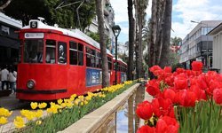 Antalya sokakları lalelerle renklendi