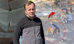 Antalya'da sokak köpeği saldırdı: Küçük çocuk hastanelik oldu!