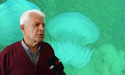 Prof. Dr. Gökoğlu açıkladı: Poyraz dev denizanalarını Antalya’ya taşıdı