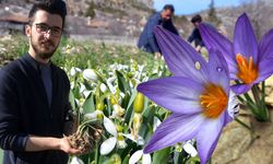 Antalya'da Toros Kardeleni mercek altında!
