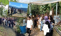Antalya'da öğrenciler tropikal meyve bahçelerini yerinde inceledi