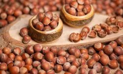 2 Mart 2026 Pazartesi fındık fiyatları ne kadar? İl il fındık fiyatları