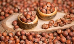 31 Mart 2026 Salı fındık fiyatları ne kadar?