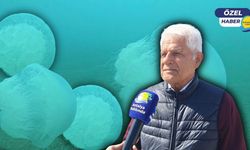 Antalya kıyılarını dev denizanaları vurdu: Temas eden dikkat!