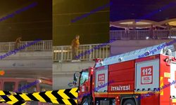 Antalya'da köprüden atladı! O kadın hastaneye kaldırıldı