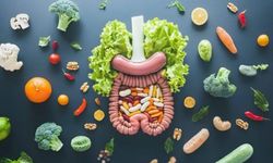 Sindirim Sistemi Dostu Beslenme Önerileri: Sağlıklı Bir Bağırsak İçin İpuçları