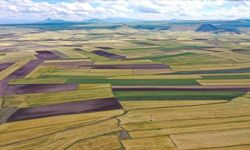 Antalya Konyaaltı’nda Mahkemeden Satılık Tarlalar: Yatırım Fırsatları