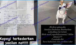 Antalya'da terk edilen köpeğin üzerine bırakılan not görenleri şok etti!