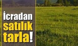 Antalya Alanya’da 1.348 m² Değerli Arsa İcradan Satışa Çıkıyor: Muhammen Bedel 50 Milyon TL’yi Aştı
