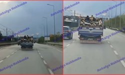 Antalya'da tehlikeli yolculuk: Yüklerin üzerinde seyahat ettiler!