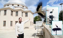 Antalya'da "Leylek" tartışması!