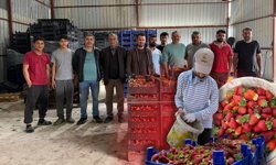 Antalya'da üretici isyan etti: Tarlada 50, markette 150 TL!