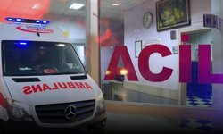 Antalya'da ağaca çarpan sürücü ağır yaralandı!