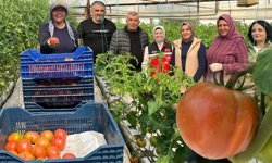 Antalya'da kadın çiftçiler sahada: 370 bin tonluk rekolte üretiliyor