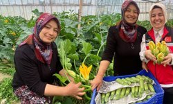 Antalya'da kadın çiftçiden büyük başarı: Üretiyor, ihraç ediyor ve pazarda satıyor!