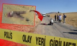 Antalya'da tüyler ürperten cinayet, 15 yıl sonra çözüldü!