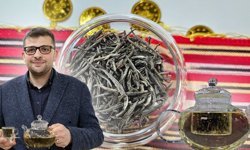 Antalya YÖREX'te tanıtılan beyaz çayın kilosu 40 bin TL!