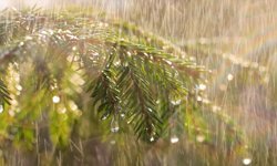 Antalya günlük hava durumu - 26.04.2026