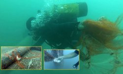 Hayalet ağlarla mücadelede, milyonlarca deniz canlısı kurtarıldı