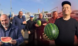 Antalya'da ilk karpuz hasadı yapıldı: İlk ürün kilosu 40 TL’den satıldı
