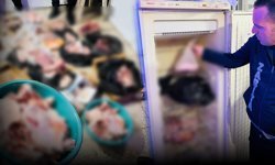 Antalya'da mide bulandıran görüntü: Bozulmuş etleri satacaklardı!