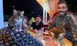 Antalya'da yavru kedi sayesinde hayata bağlandı!