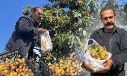 Antalya'da sosyal medyadan çağrıda bulundu: Dalında kalan yeni dünyayı ücretsiz dağıttı!