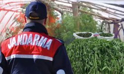 Antalya'da seraya jandarma baskını! Kilolarca madde ele geçirildi