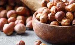 28 Nisan 2026 Salı fındık fiyatları ne kadar? Güncel fındık fiyatları