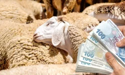 Devlet bu kişilere 100 koyun ve aylık 15 bin TL destek verecek!
