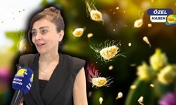 Yaz geliyor ama alerji bitmiyor! "Polen alerjisi cilt rahatsızlıklarını da tetikliyor"