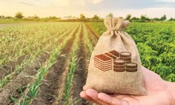 Kırsal Kalkınma Desteği başvuruları başladı!