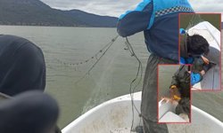 Isparta Kovada Gölü'nde 600 metrelik ağ ele geçirildi!