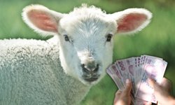 Kurban Bayramı ikramiyesi belli oldu!