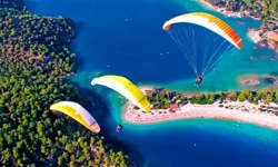 Muğla'nın Simgesi Nedir?