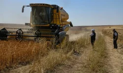 Kimlik sonu 0 2 4 6 8 olanlar dikkat: ödemeler hesaplara yatırıldı