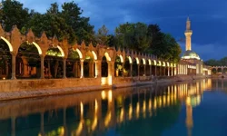 Şanlıurfa'nın En İyi İlçesi Hangisi?