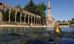 Şanlıurfa'nın En Önemli Özelliği Nedir?