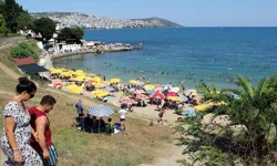Sinop'un En İyi İlçesi Hangisi?